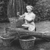 Category link: Basket-making & Willow Holts