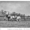 Page link: Farming at Clifton, 1900