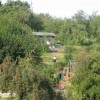 Page link: St Ann's Allotments Open Day