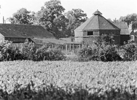 Photo:Dovecote at Barton-in-Fabis, photographed in 1975