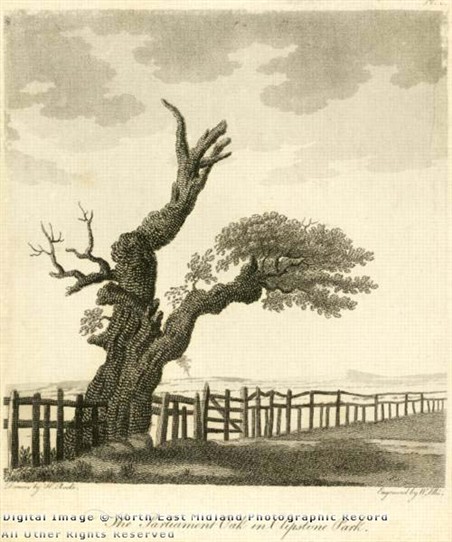 Photo: Illustrative image for the 'The Parliament Oak' page