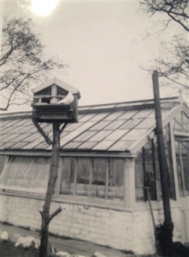 Photo:Bird table and greenhouse