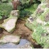 Page link: Holy Wells and healing springs of Nottinghamshire book